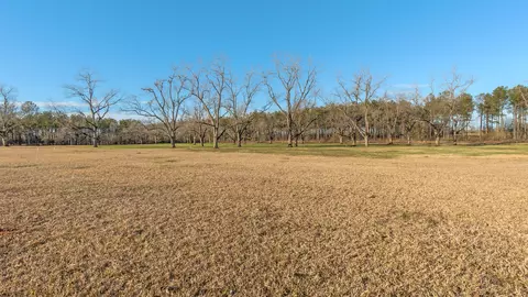 3476 Lower Shellman Rd, Shellman, GA 39886 photo 10
