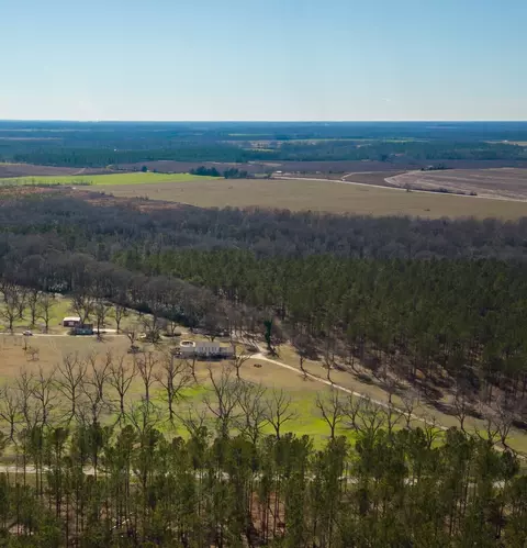 3476 Lower Shellman Rd, Shellman, GA 39886 photo 4