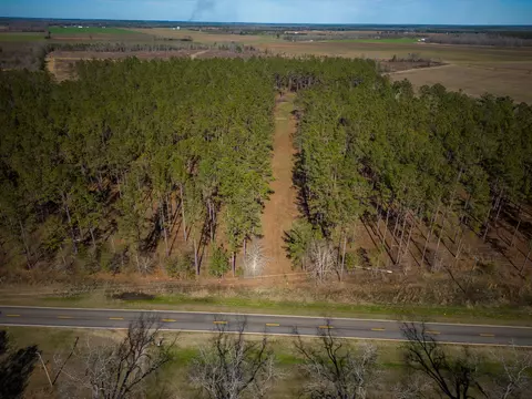 3476 Lower Shellman Rd, Shellman, GA 39886 photo 6