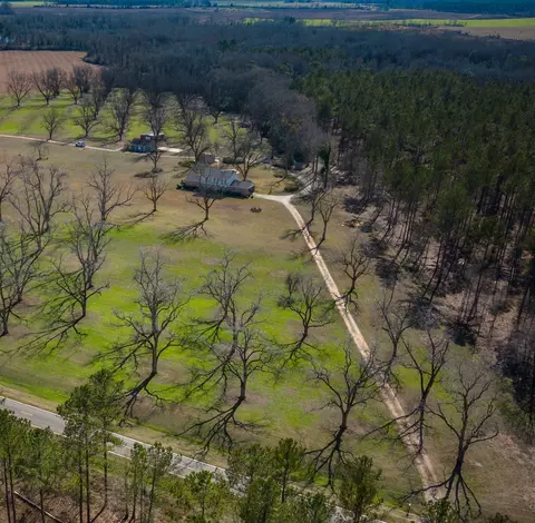 3476 Lower Shellman Rd, Shellman, GA 39886 photo 5