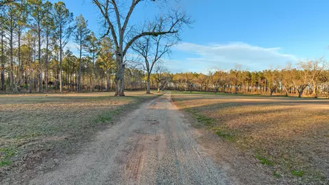 3476 Lower Shellman Rd, Shellman, GA 39886 photo 34