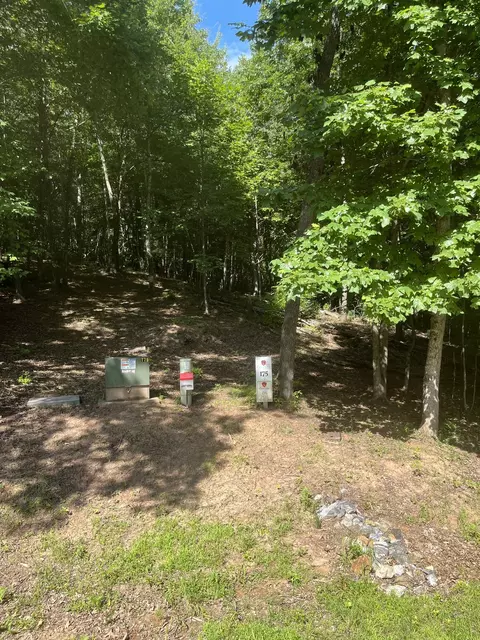 175 Owen Vis #LOT 175, Blairsville, GA 30512