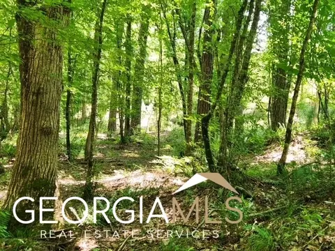 0 Cook Rd #LOT 7, Monticello, GA 31064