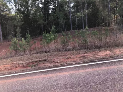 0 Ted Dunn Blvd, Eatonton, GA 31024