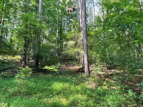 1341 Riverwalk Rd, Bishop, GA 30621 photo 13