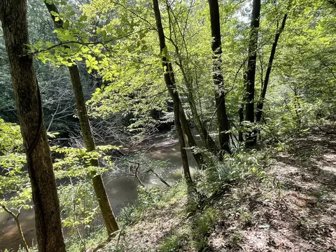 1341 Riverwalk Rd, Bishop, GA 30621 photo 8