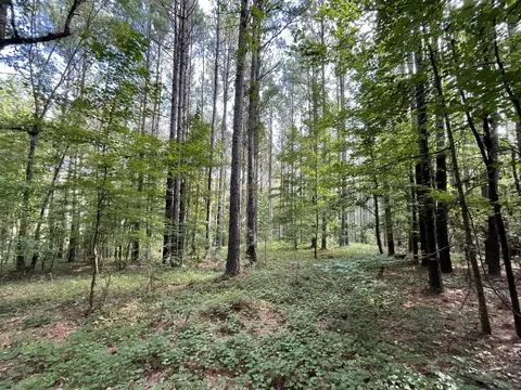 1341 Riverwalk Rd, Bishop, GA 30621 photo 3