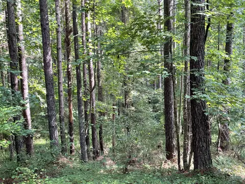 1341 Riverwalk Rd, Bishop, GA 30621 photo 4