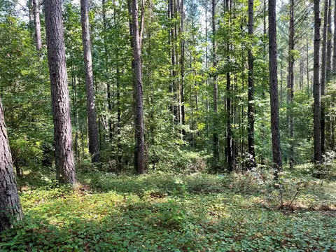 1341 Riverwalk Rd, Bishop, GA 30621 photo 1