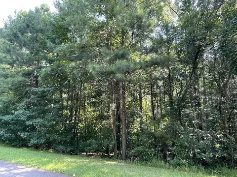1341 Riverwalk Rd, Bishop, GA 30621 photo 18