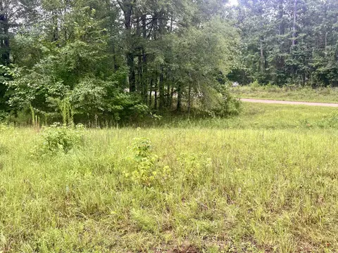 169 Jones Mill Rd, Gray, GA 31032 photo 4