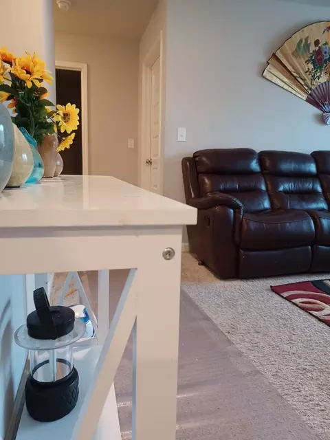 1539 Wyndale Dr, Hampton, GA 30228 photo 12