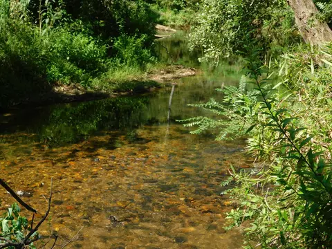 0 Woodland Ln #TRACT 3, Dahlonega, GA 30533