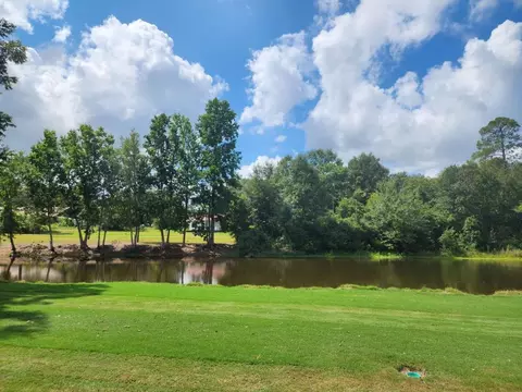 127 Collins St, Lyons, GA 30436 photo 7