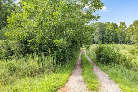 3607 Bc Grant Rd, Cornelia, GA 30531 photo 33