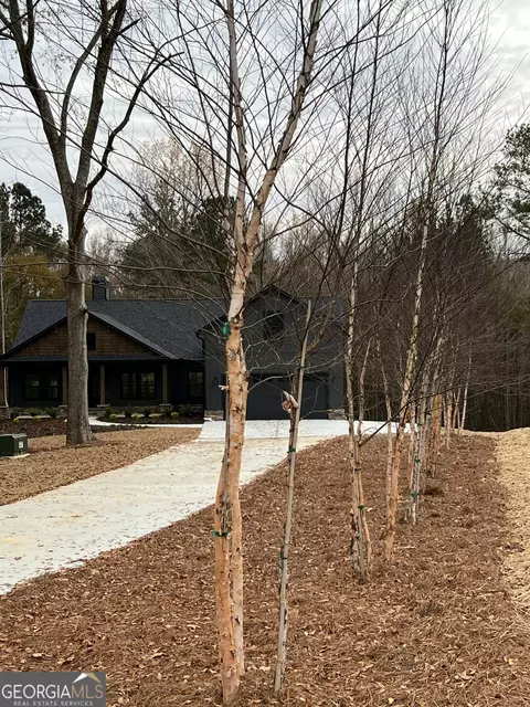 201 Browning Rd, Villa Rica, GA 30180