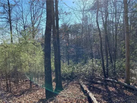 6 Crown Mountain Way, Dahlonega, GA 30533