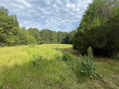 552 Benton Rd, Covington, GA 30014 photo 3