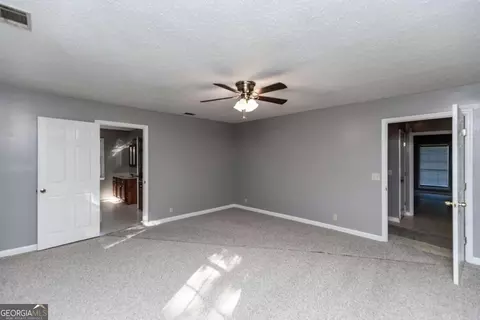 254 Early, Springfield, GA 31329 photo 15