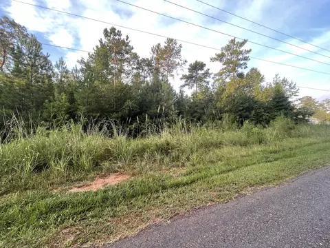2782 Boxankle Rd, Forsyth, GA 31029 photo 3