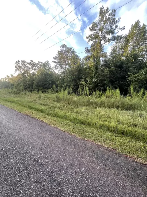 2782 Boxankle Rd, Forsyth, GA 31029 photo 2
