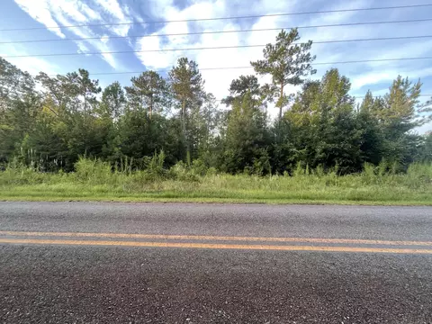 2782 Boxankle Rd, Forsyth, GA 31029 photo 1