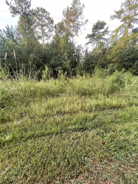 2782 Boxankle Rd, Forsyth, GA 31029 photo 6