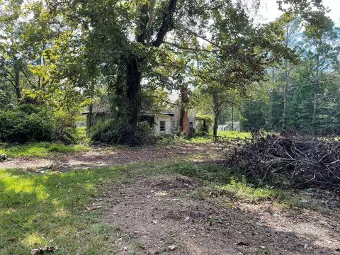 1 16 Ac Alma Flournoy Rd NE, Ludowici, GA 31316