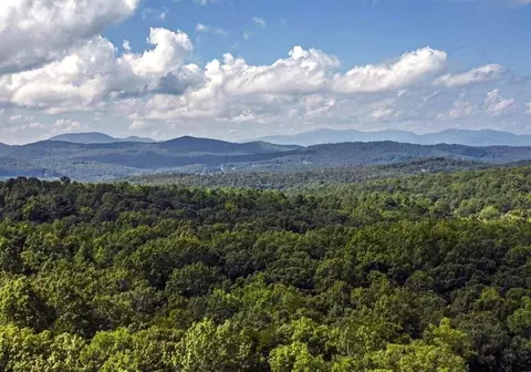 273 Antler Way, Morganton, GA 30560