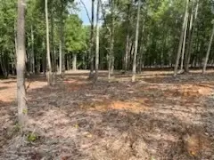 Lt21 Bravo Way, Talking Rock, GA 30175