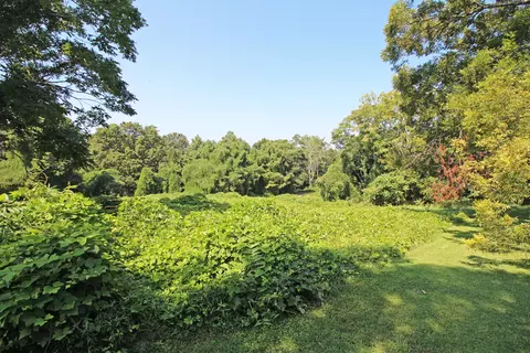 177 Williams St, Baldwin, GA 30511 photo 49