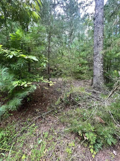 14 Lots Hedden Pnes, Murphy, NC 28906 photo 20