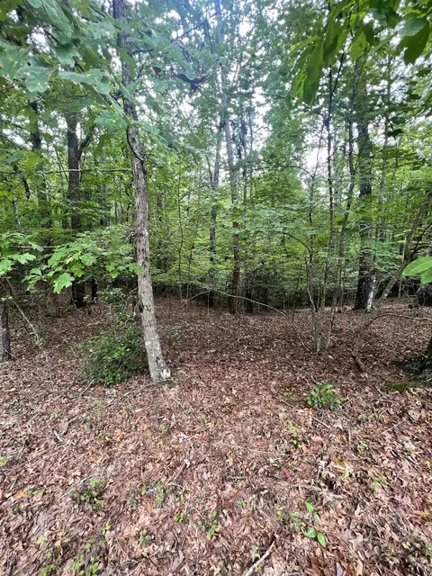 14 Lots Hedden Pnes, Murphy, NC 28906 photo 12