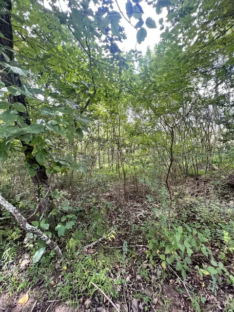14 Lots Hedden Pnes, Murphy, NC 28906 photo 27
