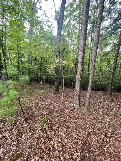 14 Lots Hedden Pnes, Murphy, NC 28906 photo 3