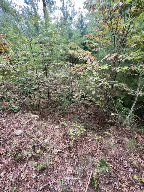 14 Lots Hedden Pnes, Murphy, NC 28906 photo 11
