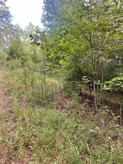 14 Lots Hedden Pnes, Murphy, NC 28906 photo 15