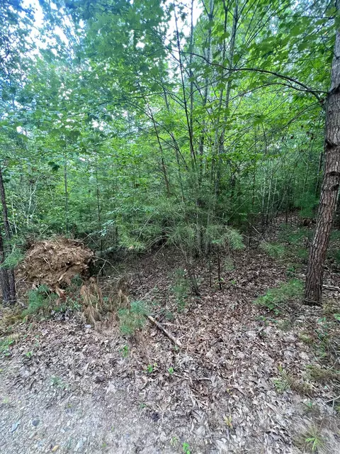 14 Lots Hedden Pnes, Murphy, NC 28906 photo 19