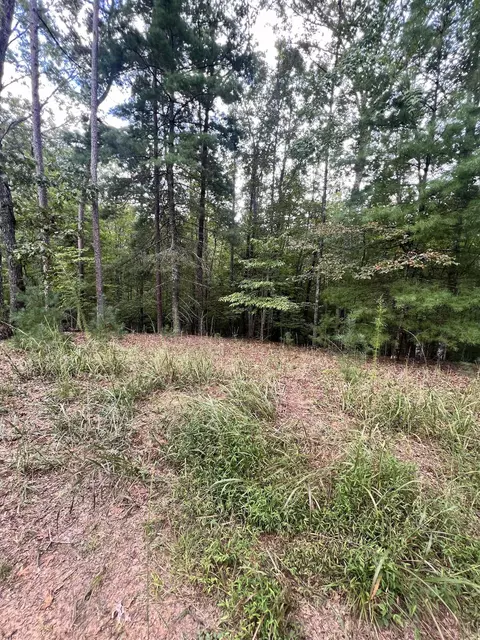 14 Lots Hedden Pnes, Murphy, NC 28906 photo 5
