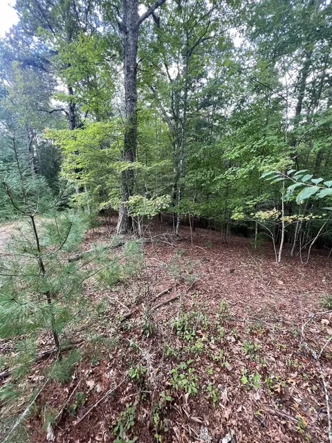 14 Lots Hedden Pnes, Murphy, NC 28906 photo 8