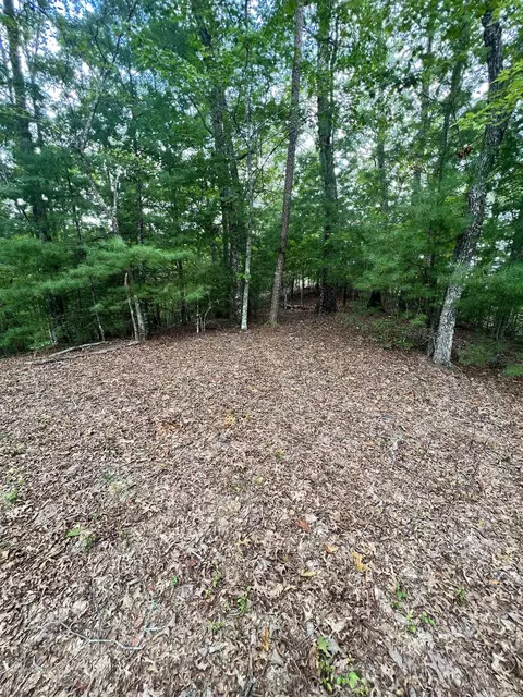 14 Lots Hedden Pnes, Murphy, NC 28906