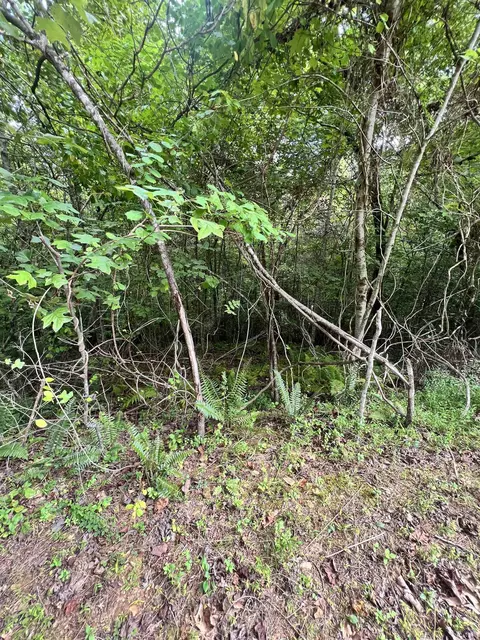 14 Lots Hedden Pnes, Murphy, NC 28906 photo 24
