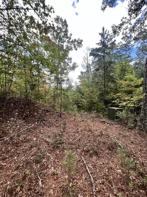 14 Lots Hedden Pnes, Murphy, NC 28906 photo 9
