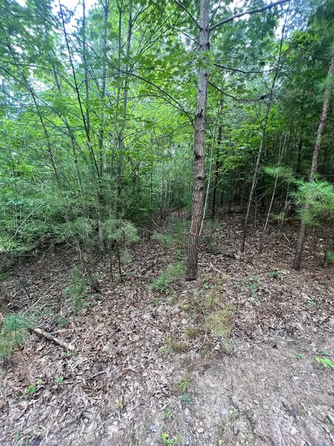14 Lots Hedden Pnes, Murphy, NC 28906 photo 18