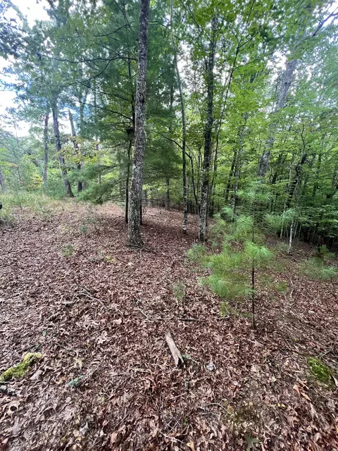 14 Lots Hedden Pnes, Murphy, NC 28906 photo 4