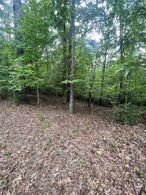 14 Lots Hedden Pnes, Murphy, NC 28906 photo 13