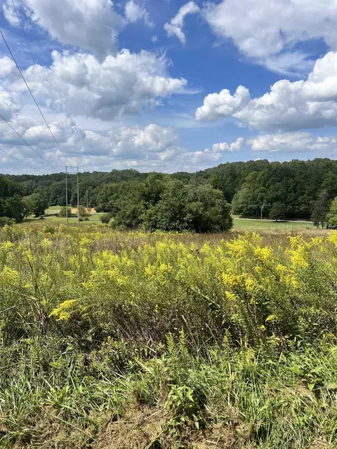 14 Lots Hedden Pnes, Murphy, NC 28906 photo 30