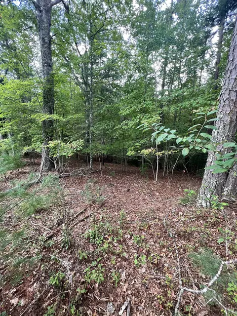 14 Lots Hedden Pnes, Murphy, NC 28906 photo 7
