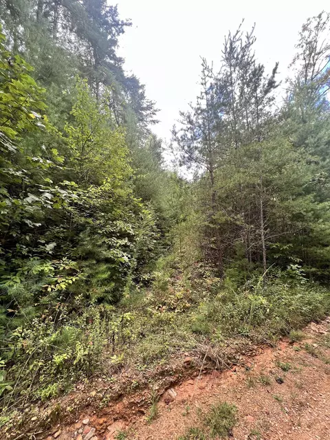 14 Lots Hedden Pnes, Murphy, NC 28906 photo 25