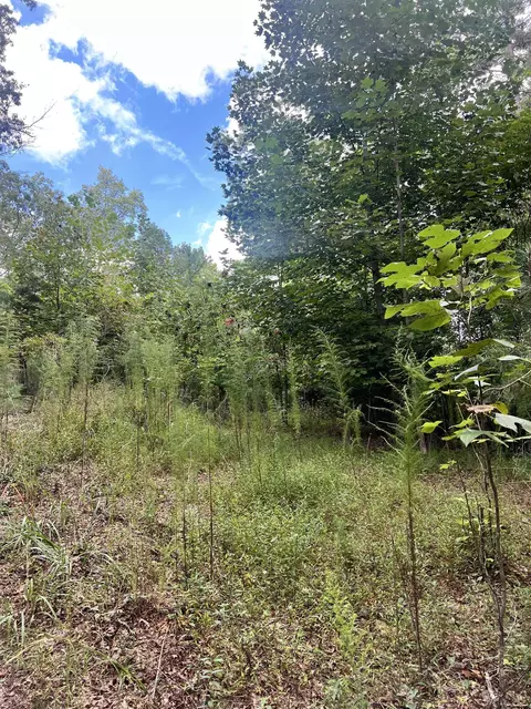 14 Lots Hedden Pnes, Murphy, NC 28906 photo 17